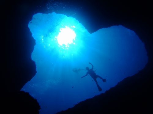 フードコーディネーター吉田智美のＨＡＰＰＹ　ＬＩＦＥ*Cafe Paradis Sucreとともに