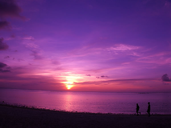 フードコーディネーター吉田智美のHAPPY LIFE*Cafe Paradis Sucreとともに