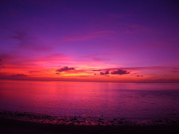 フードコーディネーター吉田智美のHAPPY LIFE*Cafe Paradis Sucreとともに