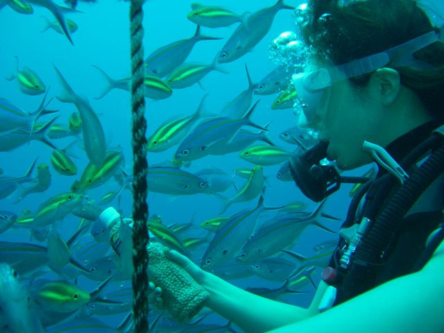 フードコーディネーター吉田智美のＨＡＰＰＹ　ＬＩＦＥ*Cafe Paradis Sucreとともに-グアム