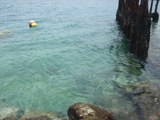 フードコーディネーター吉田智美のＨＡＰＰＹ　ＬＩＦＥ*Cafe Paradis Sucreとともに