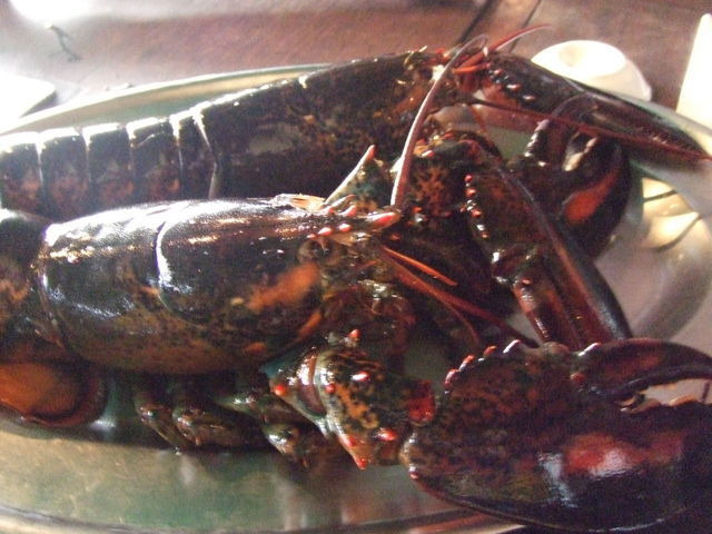 フードコーディネーター吉田智美のHAPPY LIFE*Cafe Paradis Sucreとともに