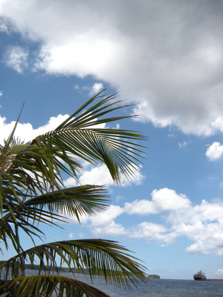 フードコーディネーター吉田智美のＨＡＰＰＹ　ＬＩＦＥ*Cafe Paradis Sucreとともに