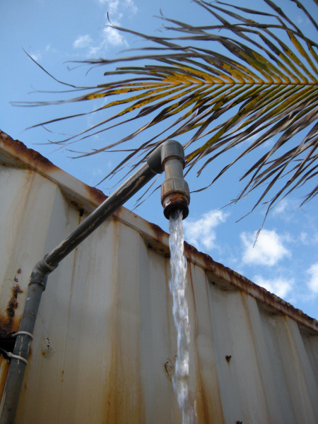 フードコーディネーター吉田智美のＨＡＰＰＹ　ＬＩＦＥ*Cafe Paradis Sucreとともに