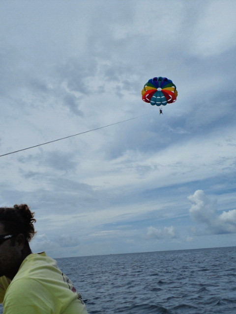 フードコーディネーター吉田智美のＨＡＰＰＹ　ＬＩＦＥ*Cafe Paradis Sucreとともに